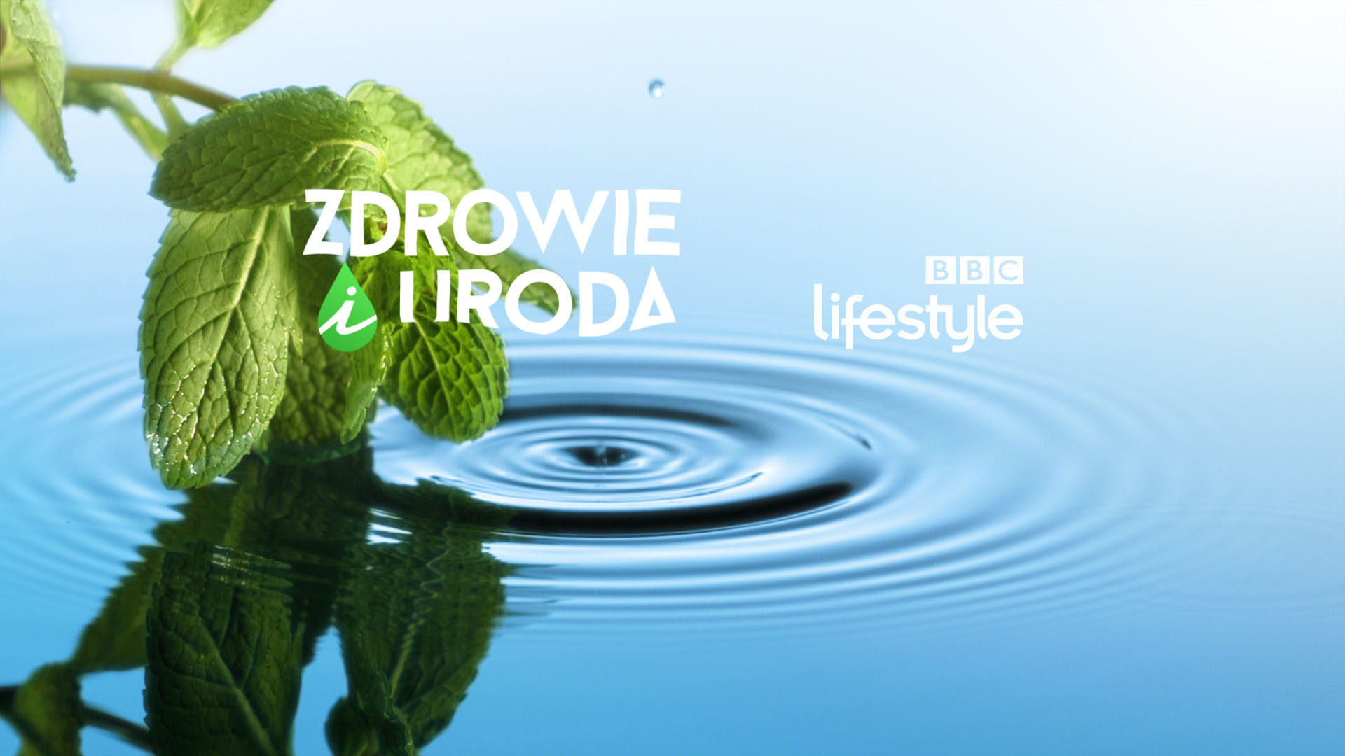 BBC Lifestyle Refresh