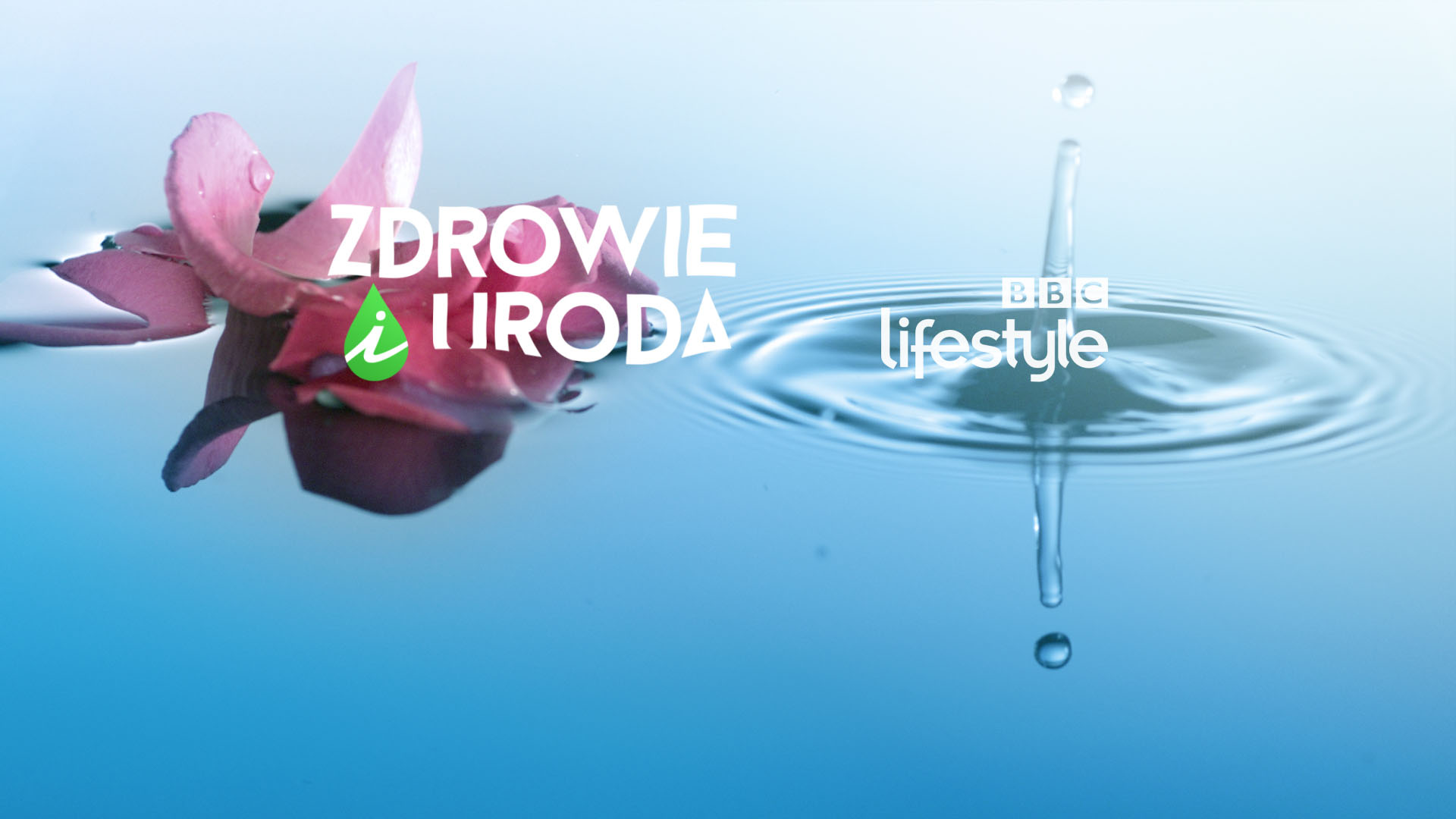 BBC Lifestyle Refresh