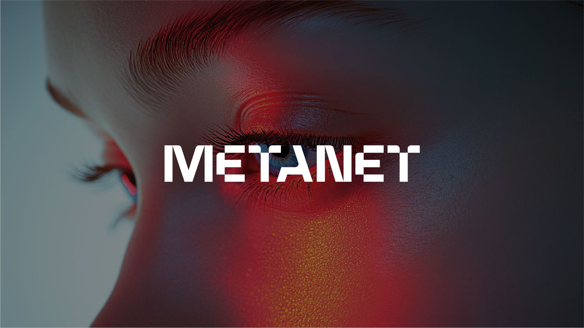 Metanet Launch